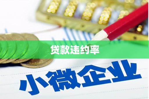 长涂贷款违约率