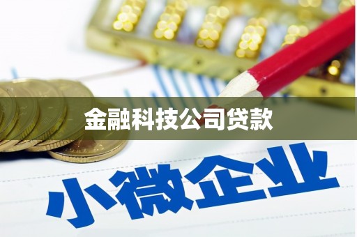 长涂金融科技公司贷款