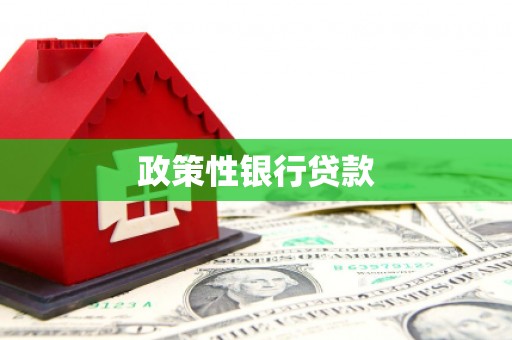 长涂政策性银行贷款