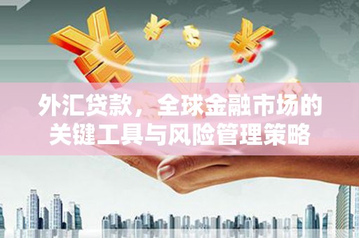 长涂外汇贷款，全球金融市场的关键工具与风险管理策略