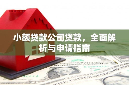 长涂小额贷款公司贷款，全面解析与申请指南