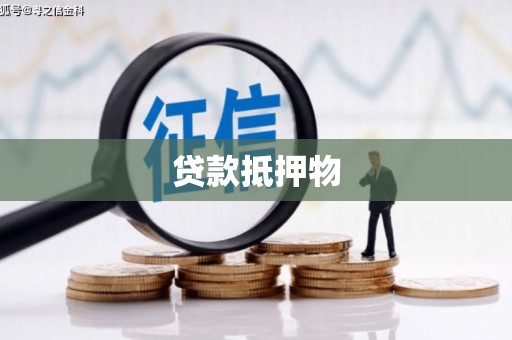 长涂贷款抵押物