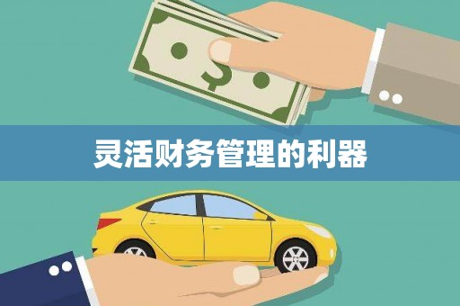 长涂灵活财务管理的利器
