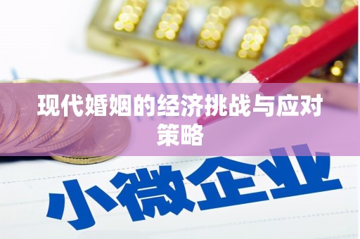 长涂现代婚姻的经济挑战与应对策略