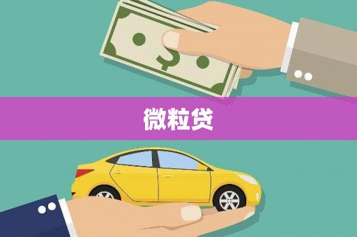 长涂微粒贷
