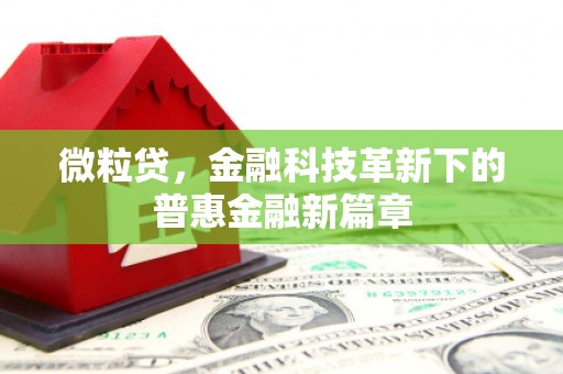 长涂微粒贷，金融科技革新下的普惠金融新篇章