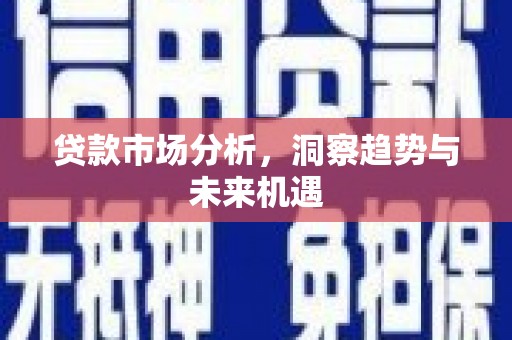 长涂贷款市场分析，洞察趋势与未来机遇