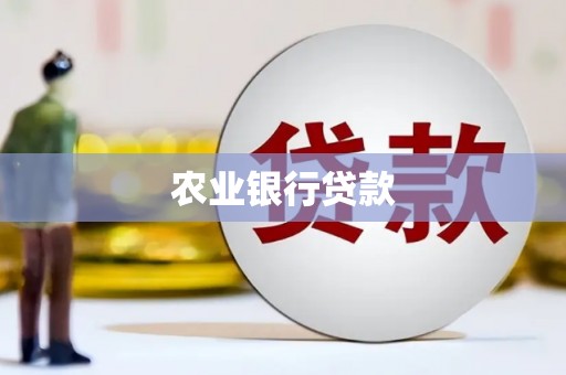 长涂农业银行贷款