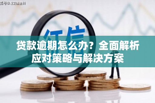 长涂贷款逾期怎么办？全面解析应对策略与解决方案