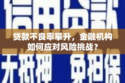 长涂贷款不良率攀升，金融机构如何应对风险挑战？
