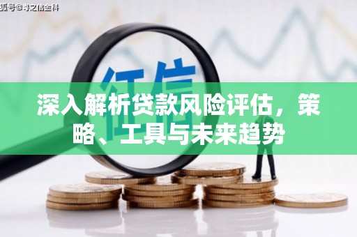 长涂深入解析贷款风险评估，策略、工具与未来趋势