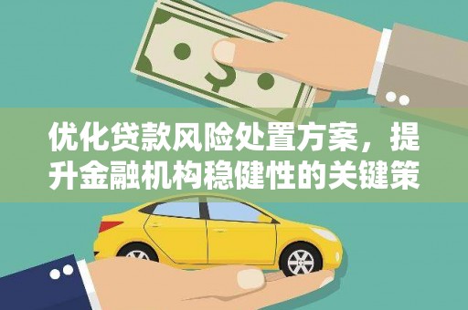长涂优化贷款风险处置方案，提升金融机构稳健性的关键策略