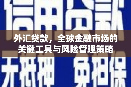 长涂外汇贷款，全球金融市场的关键工具与风险管理策略