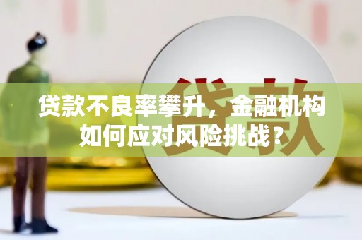 长涂贷款不良率攀升，金融机构如何应对风险挑战？