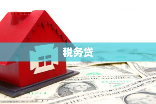 长涂税务贷