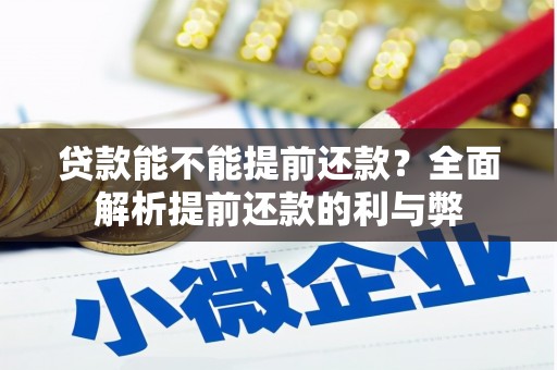 长涂贷款能不能提前还款？全面解析提前还款的利与弊