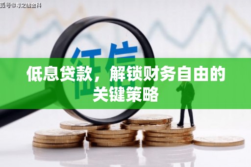 长涂低息贷款，解锁财务自由的关键策略