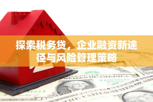 长涂探索税务贷，企业融资新途径与风险管理策略