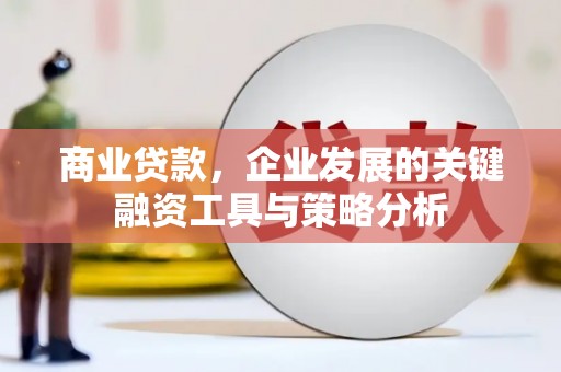 长涂商业贷款，企业发展的关键融资工具与策略分析