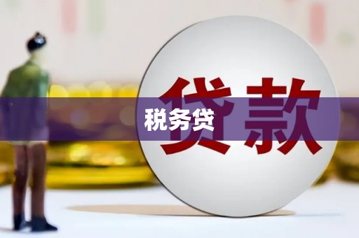 长涂税务贷