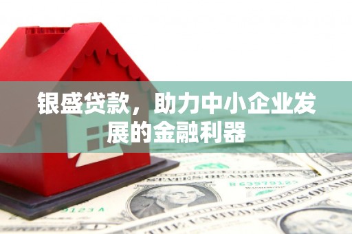 长涂银盛贷款，助力中小企业发展的金融利器