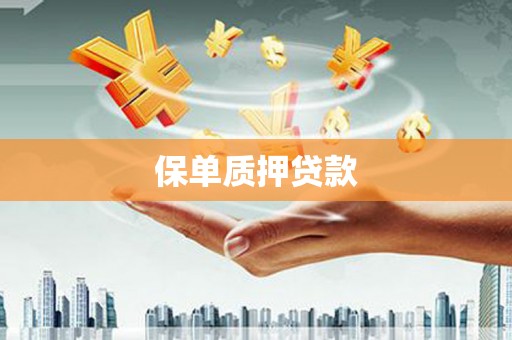 长涂保单质押贷款