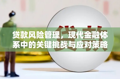 长涂贷款风险管理，现代金融体系中的关键挑战与应对策略