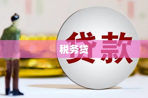 长涂税务贷