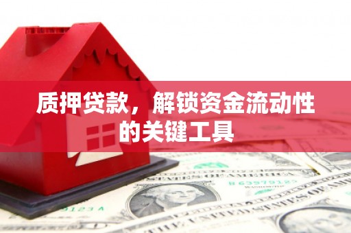 长涂质押贷款，解锁资金流动性的关键工具