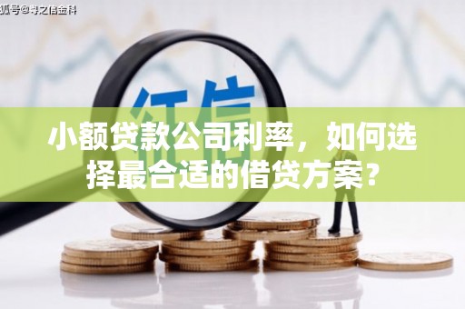 长涂小额贷款公司利率，如何选择最合适的借贷方案？