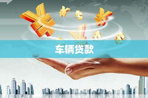长涂车辆贷款