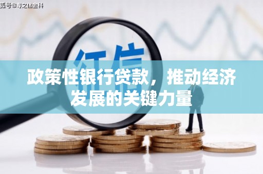 长涂政策性银行贷款，推动经济发展的关键力量
