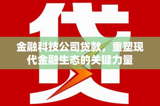 长涂金融科技公司贷款，重塑现代金融生态的关键力量