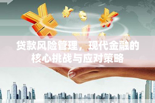 长涂贷款风险管理，现代金融的核心挑战与应对策略
