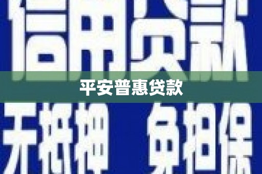 长涂平安普惠贷款