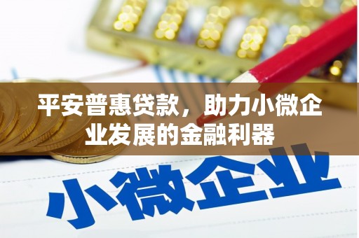 长涂平安普惠贷款，助力小微企业发展的金融利器