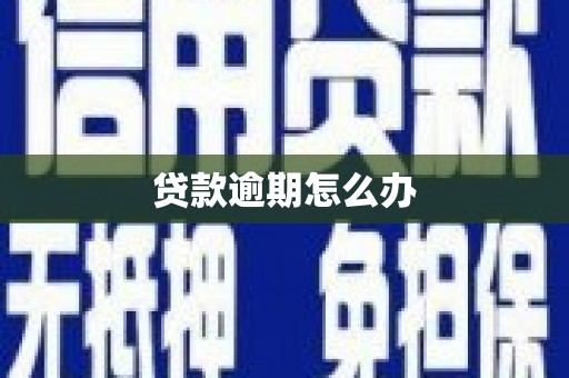 长涂贷款逾期怎么办