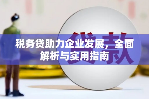 长涂税务贷助力企业发展，全面解析与实用指南