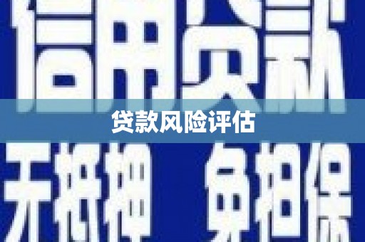 长涂贷款风险评估
