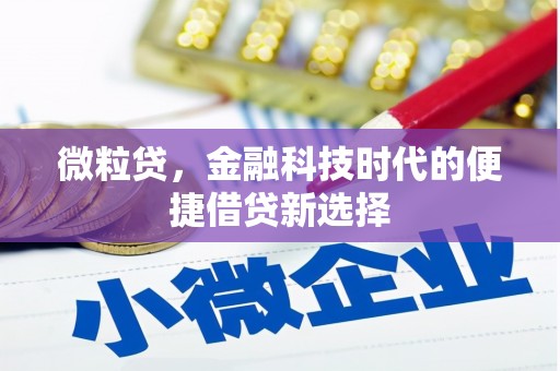 长涂微粒贷，金融科技时代的便捷借贷新选择