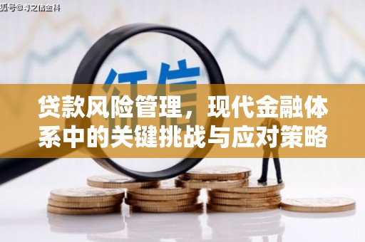 长涂贷款风险管理，现代金融体系中的关键挑战与应对策略