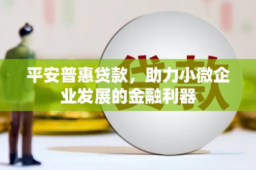 长涂平安普惠贷款，助力小微企业发展的金融利器