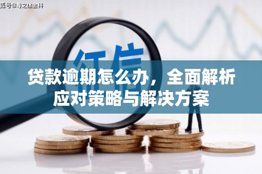长涂贷款逾期怎么办，全面解析应对策略与解决方案
