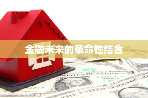 长涂金融未来的革命性结合