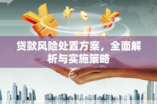长涂贷款风险处置方案，全面解析与实施策略
