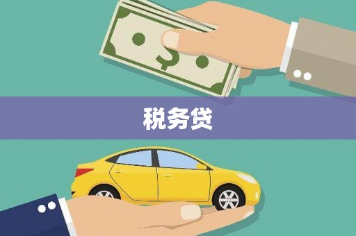 长涂税务贷