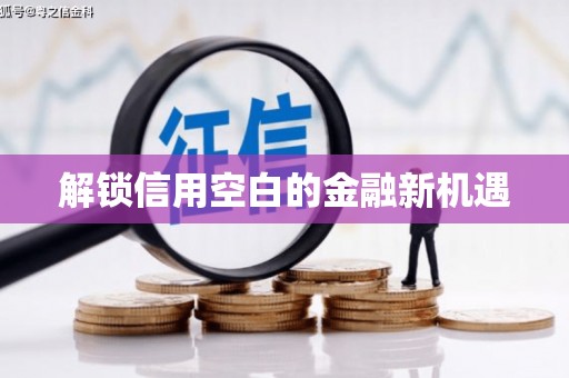 长涂解锁信用空白的金融新机遇