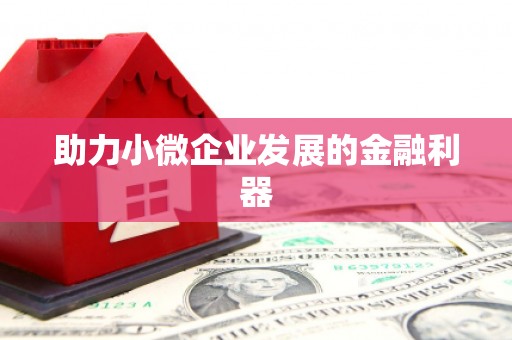 长涂助力小微企业发展的金融利器
